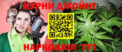 прущие грибы Тверь