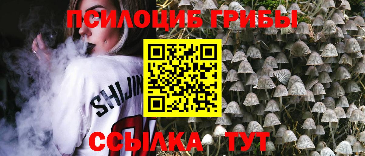 Псилоцибиновые грибы Magic Shrooms  Галлюциногенные грибы Psilocybe  Белебей  Вход с VPN 